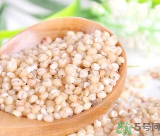 高粱米是發(fā)物嗎？高粱米是不是發(fā)物？