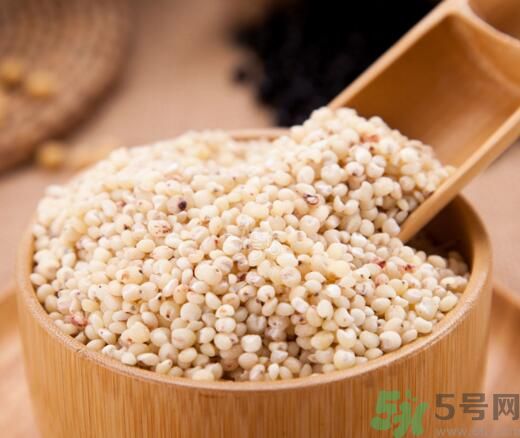 高粱米是發(fā)物嗎？高粱米是不是發(fā)物？