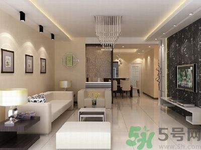 家中有蟑螂要怎么辦？怎么消滅家中的蟑螂？