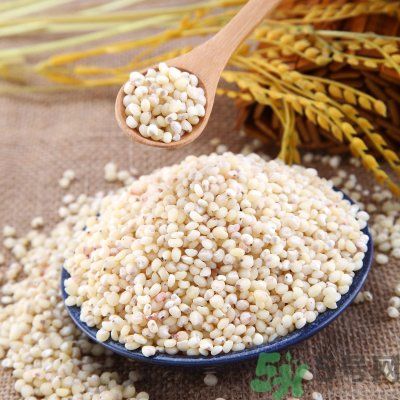 高粱米能做飯嗎？高粱米做飯好嗎？