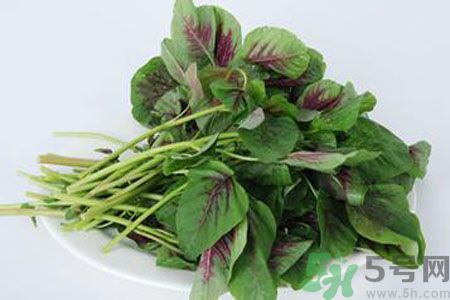 漢菜是熱性還是涼性？漢菜是涼性的嗎？