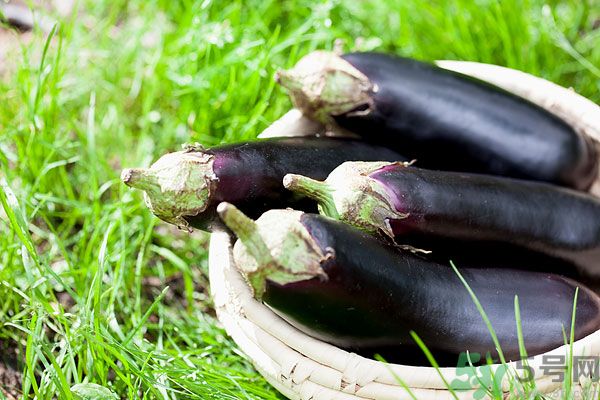 茄子和蝦能一起吃嗎？茄子和蝦可以一起吃嗎？