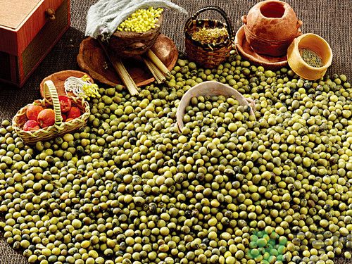 綠豆和雞蛋能一起吃嗎?綠豆和雞蛋相克嗎 綠豆和雞蛋能一起吃嗎?綠豆和雞蛋相克嗎