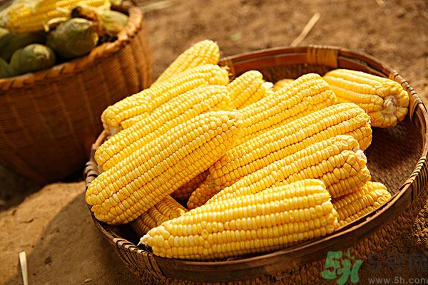 南瓜和玉米可以一起吃嗎？南瓜和玉米一起吃好嗎？