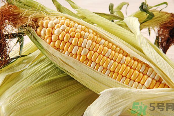 南瓜和玉米可以一起吃嗎？南瓜和玉米一起吃好嗎？