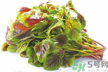 孕婦可以吃漢菜嗎？懷孕可以吃漢菜嗎？