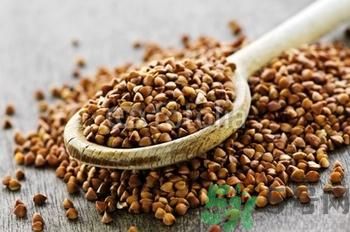 蕎麥有什么功效？蕎麥的功效是什么？