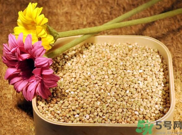 蕎麥是發(fā)物嗎？蕎麥是不是發(fā)物？