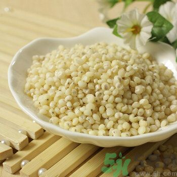 蕎麥能和高粱一起煮粥嗎？蕎麥和高粱一起煮粥好嗎？