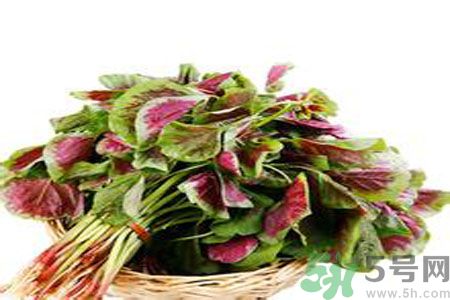 胃不好可以吃莧菜嗎？胃不好吃莧菜好嗎？