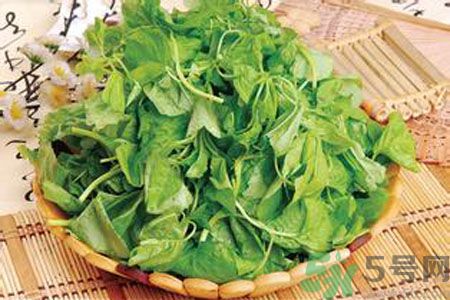胃不好可以吃莧菜嗎？胃不好吃莧菜好嗎？