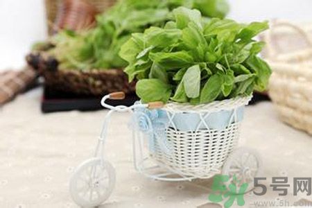 月經(jīng)期間可以吃漢菜嗎？來月經(jīng)可以吃漢菜嗎？