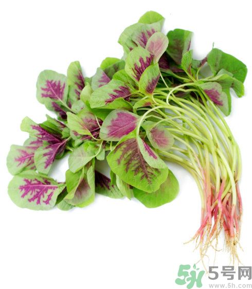 吃莧菜會皮膚過敏嗎？吃莧菜皮膚過敏怎么辦？