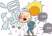 夏季濕氣重怎么辦？夏季祛濕的方法