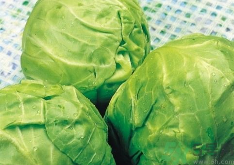 包菜可以和土豆一起吃嗎?包菜能和土豆同吃嗎? 包菜可以和土豆一起吃嗎?包菜能和土豆同吃嗎?