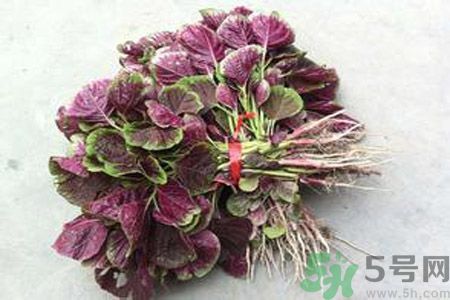 衣服上染上了莧菜汁怎么辦？衣服上的莧菜汁怎么洗掉？