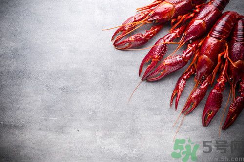 小龍蝦是蟲(chóng)子嗎?小龍蝦是蟲(chóng)子還是蝦 小龍蝦是蟲(chóng)子嗎?小龍蝦是蟲(chóng)子還是蝦