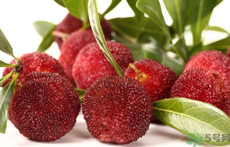 楊梅可以和牛奶一起吃嗎？牛奶能和楊梅一起吃嗎？