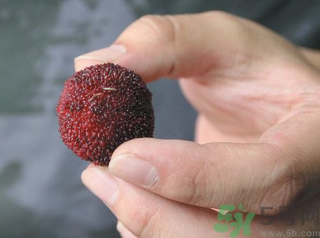 楊梅里面的蟲子能吃嗎？楊梅里面的蟲子吃了會(huì)怎么樣？