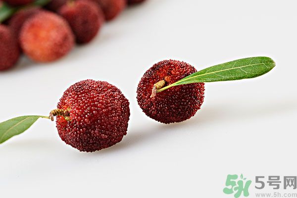 楊梅里面的蟲(chóng)子是什么是蛆嗎？楊梅里的蟲(chóng)子有害嗎？