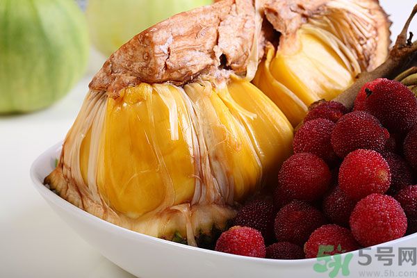 楊梅里面的蟲子是什么是蛆嗎？楊梅里的蟲子有害嗎？