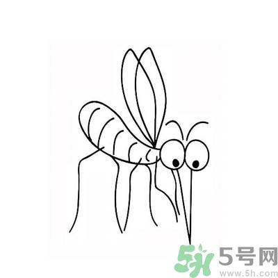 夏天家中有蒼蠅怎么辦？夏天如何滅蒼蠅？