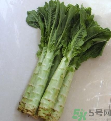 筍子是不是發(fā)物？筍子是發(fā)物嗎？