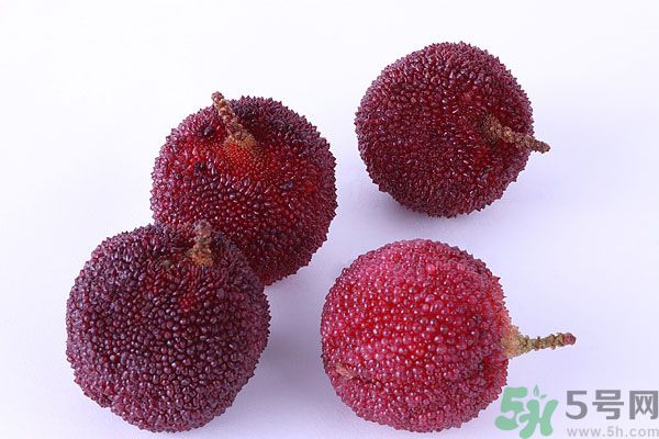 楊梅里面有小蟲怎么洗？楊梅里的蟲子怎么弄出來？