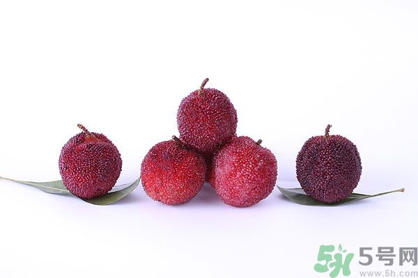 楊梅里面有小蟲怎么洗？楊梅里的蟲子怎么弄出來？