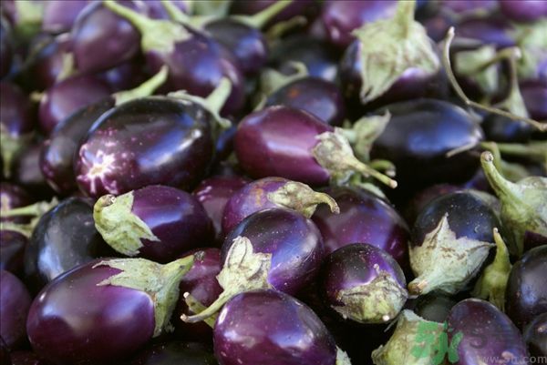 茄子里面有黑點能吃嗎？茄子里面黑了能吃嗎？