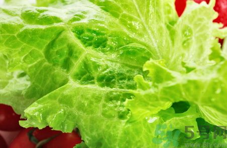 生菜怎么清洗?生菜怎么洗干凈? 生菜怎么清洗?生菜怎么洗干凈?