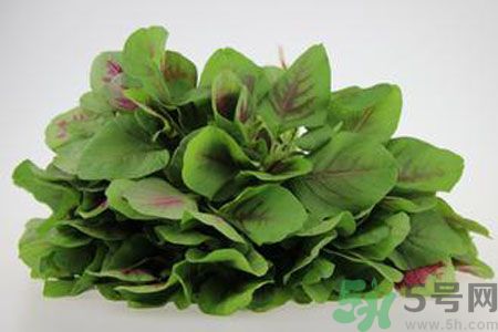 莧菜可以生吃嗎？莧菜生吃了會(huì)怎樣？