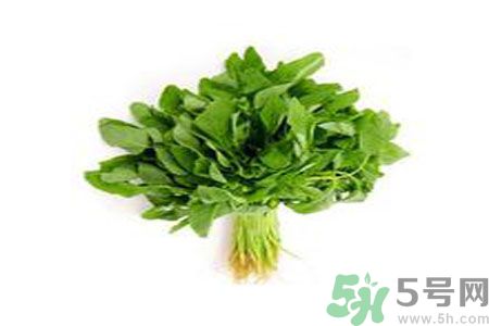 莧菜可以生吃嗎？莧菜生吃了會(huì)怎樣？