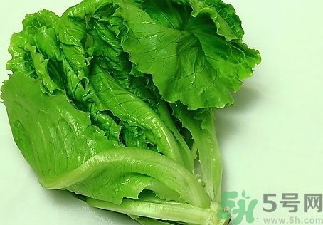 生菜可以生吃嗎?生菜能生吃嗎? 生菜可以生吃嗎?生菜能生吃嗎?
