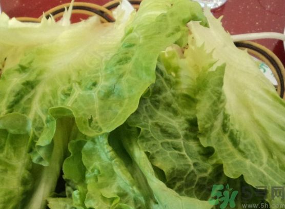 生菜可以生吃嗎?生菜能生吃嗎? 生菜可以生吃嗎?生菜能生吃嗎?