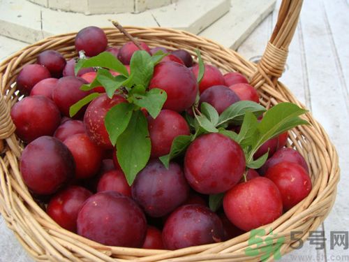 李子紅色甜還是黑色甜？李子黑色的比較甜嗎？