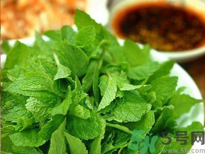薄荷可以炒菜吃嗎？薄荷可以用來炒菜嗎？