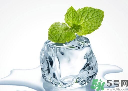 薄荷可以炒菜吃嗎？薄荷可以用來炒菜嗎？