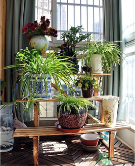 房子裝修后多久才能?。糠孔友b修后多久孕婦才能?。? width=