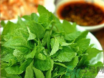 薄荷有什么功效？薄荷的攻效是什么？