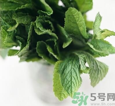薄荷有什么功效？薄荷的攻效是什么？