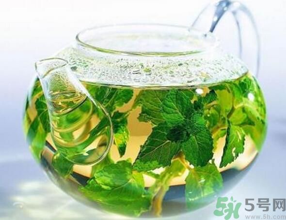 薄荷茶怎么泡好喝？薄荷茶的沖泡方法有哪些？