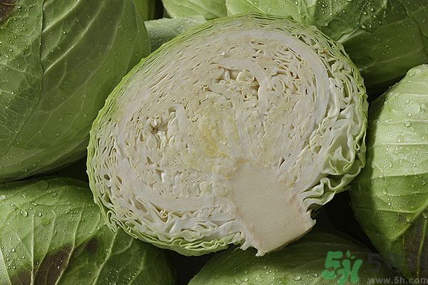 1463714204561813.jpg top-786253.jpg