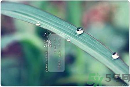 小滿容易得什么皮膚病？小滿得了皮膚病怎么辦？