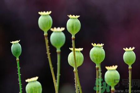 小滿做什么運(yùn)動(dòng)好？小滿運(yùn)動(dòng)要注意什么？