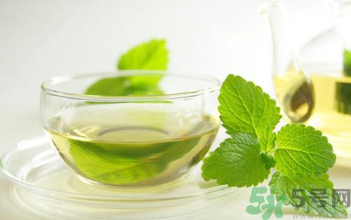  孕婦可以喝薄荷茶嗎？孕婦能喝薄荷泡的茶嗎？