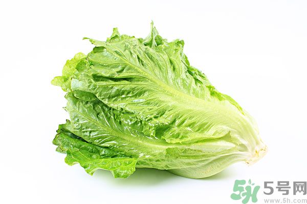 生菜在冰箱放久了能吃嗎？如何分辨生菜新不新鮮？