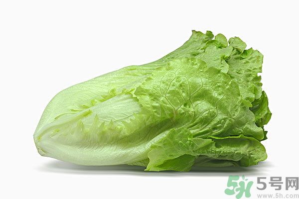 生菜在冰箱放久了能吃嗎？如何分辨生菜新不新鮮？