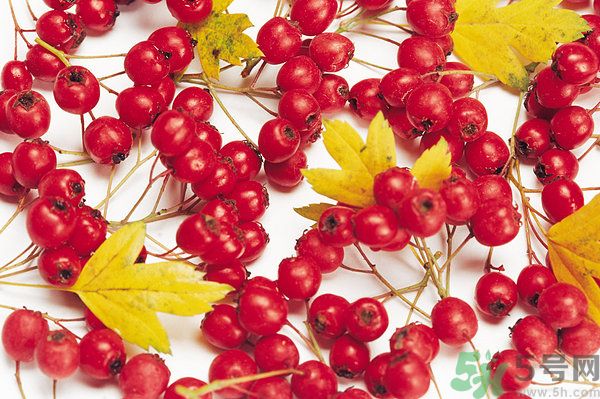 幼兒吃山楂好嗎？幼兒吃山楂片好嗎？