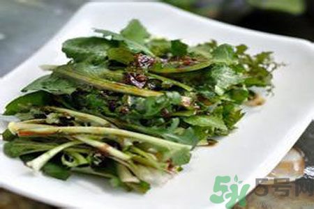 寶寶可以吃苦菜嗎？寶寶多大可以吃苦菜？